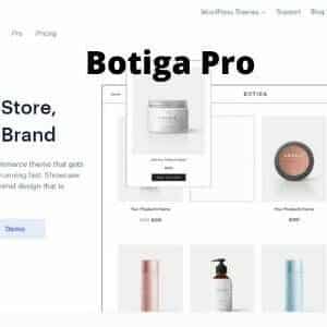 Botiga-Pro-Wordpress-Theme-GPL